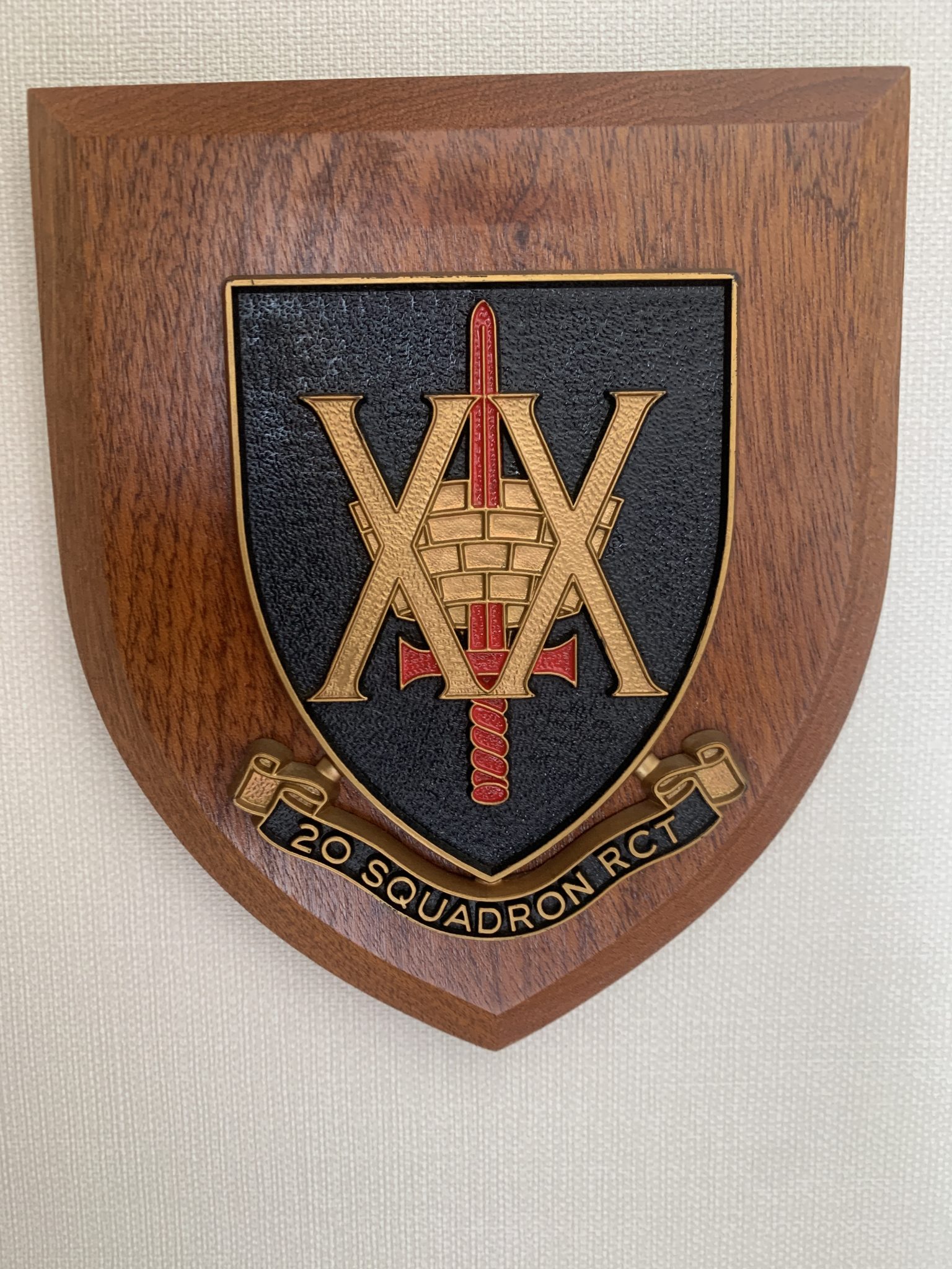 20 SQN RCT – The RASC and RCT Pass Out Photo Archive